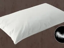 Piuma