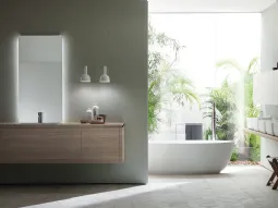 Qi in decorativo Olmo Hono