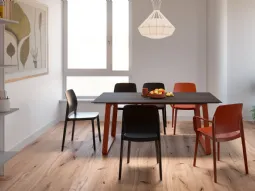 Tipa